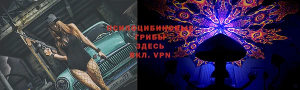 спиды Алексеевка
