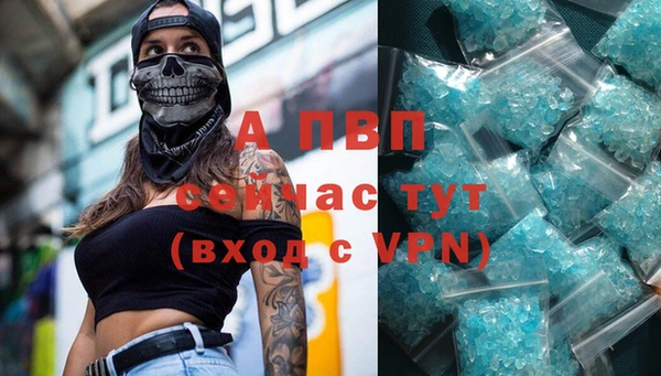 сатива Баксан