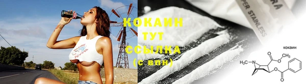 сатива Баксан