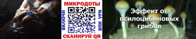 hydra ССЫЛКА  Вихоревка  Псилоцибиновые грибы прущие грибы 